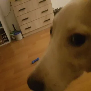 🥸