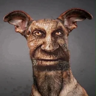 🐕
