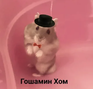 🎩