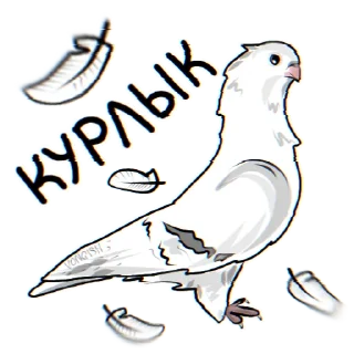 🐦