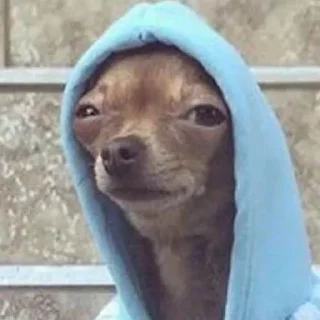 😑
