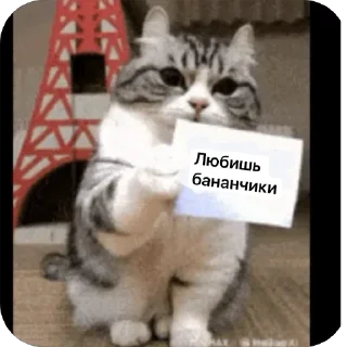 🫥