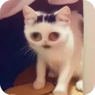 😕