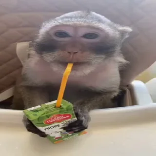 🧃