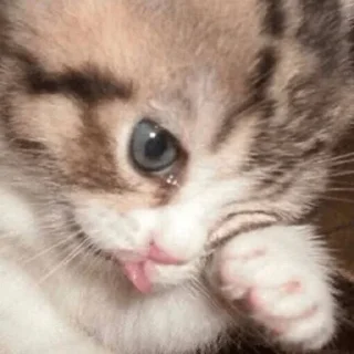 😢