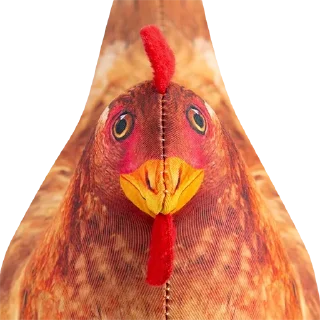 🐥