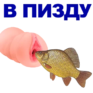🐠