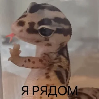 🙃