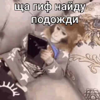 🐵