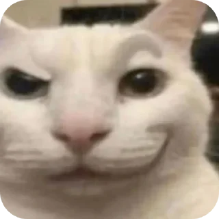 👍