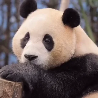 🙄