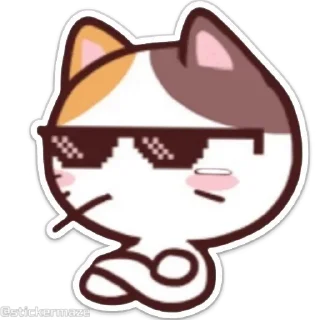😎