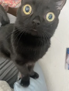 😐