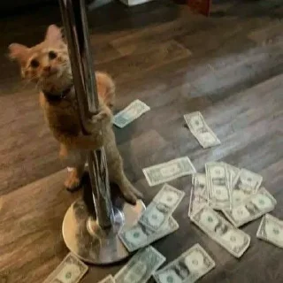 💵