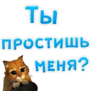 😢