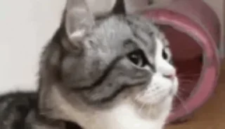 ☺️