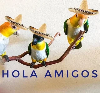 👋
