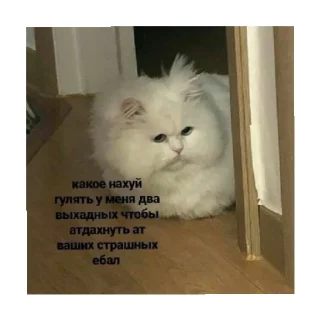 🥺