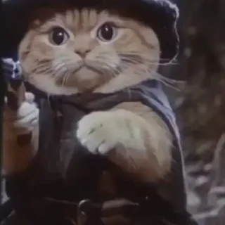 🧨
