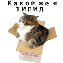 Колкие фразы