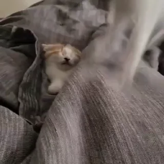 💋
