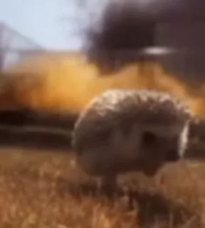 🦔