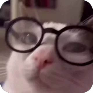 🤓