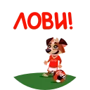 ⚽️