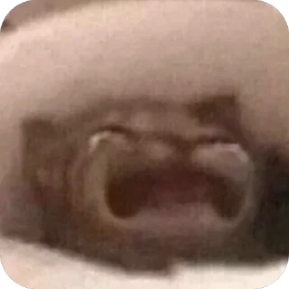 🫥