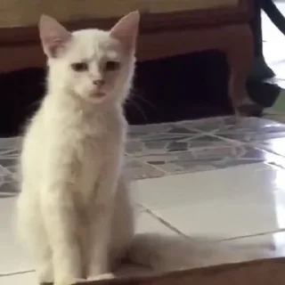 🤯