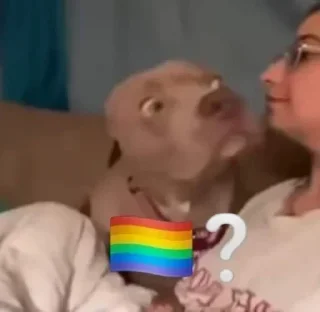🏳️‍🌈