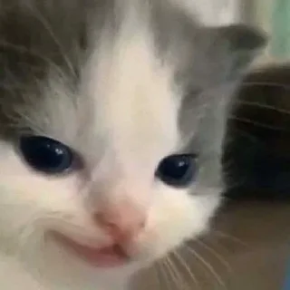 😈