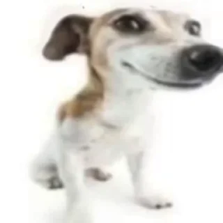 😎