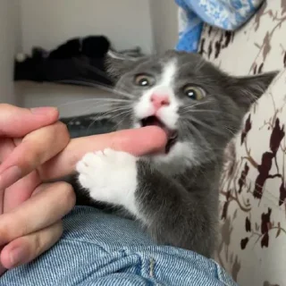 😘