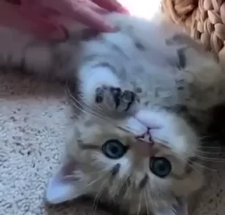 😊