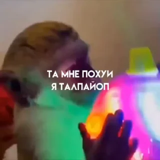 🤩
