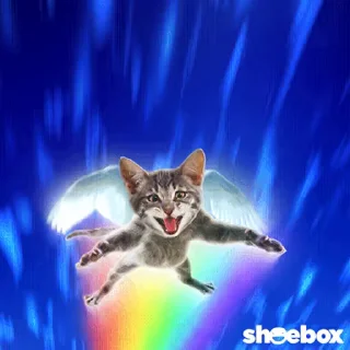 🕊