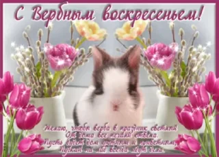 🌷