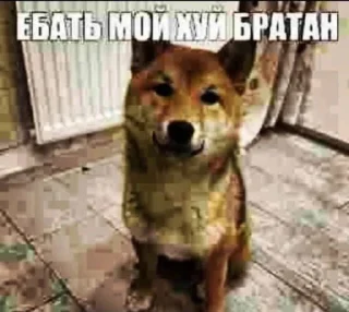 😤