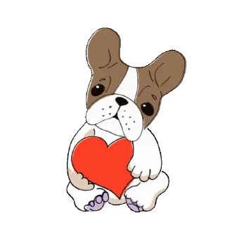 💖