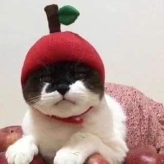 🍎