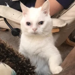 🤨