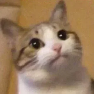 😕