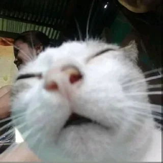 😴