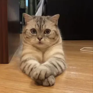 🤓