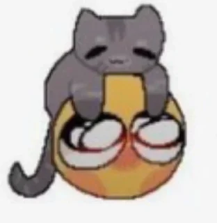 🌟