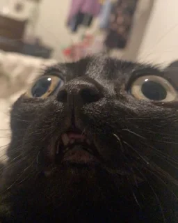😟