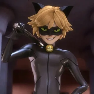 🐈‍⬛