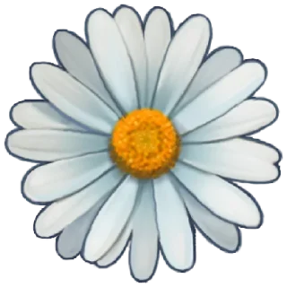 🌼