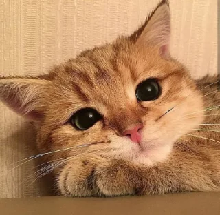 😍